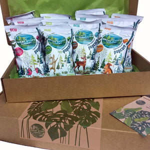 The Healthy Gift Box - Popcorn Edition (organic, vegan, refined sugar free) - free shipping